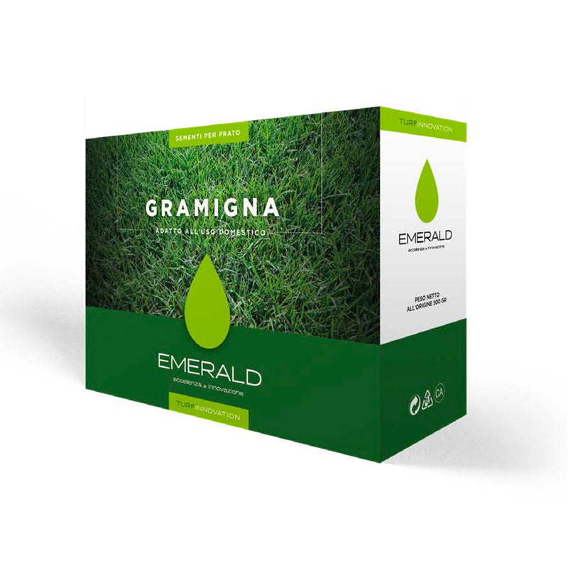 Semi di erba per prato Gramigna - da 100 a 500 gr. - TURF INNOVATION