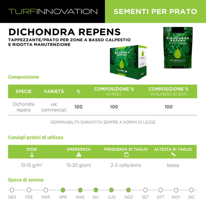 Semi di erba per prato Dichondra Repens - da 100 a 500 gr. - TURF INNOVATION
