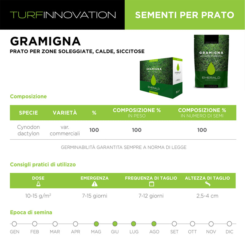 Semi di erba per prato Gramigna - da 100 a 500 gr. - TURF INNOVATION