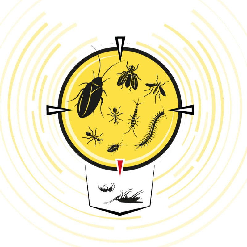 Spray insetticida per insetti striscianti e volanti - effetto snidante - 500 ml