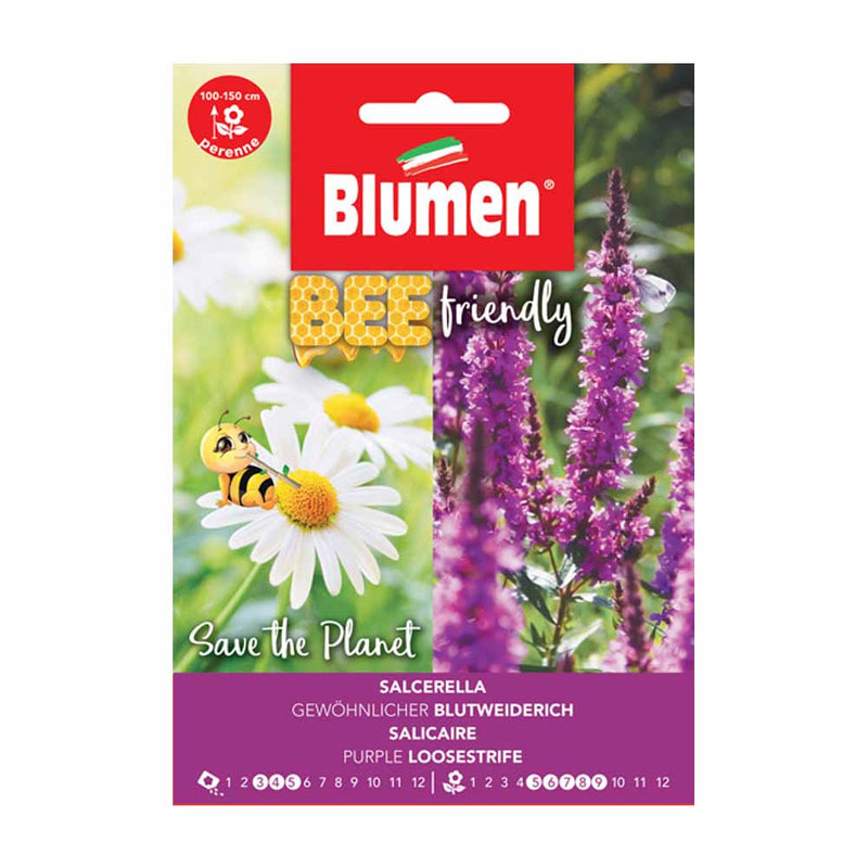 semi di fiori salcerella - blumen