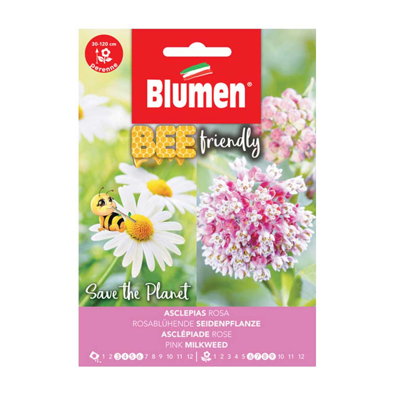 semi di fiori asclepias rosa - blumen
