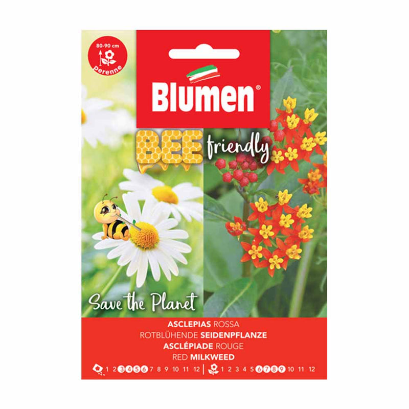 semi di fiori asclepias rossa - blumen