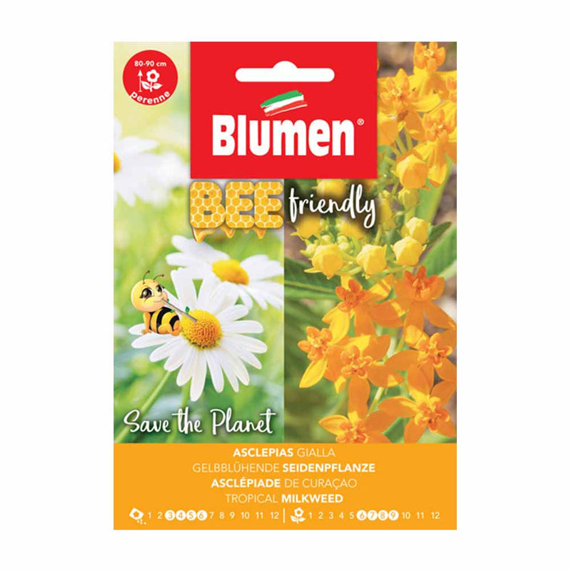 semi di fiori asclepias gialla - blumen