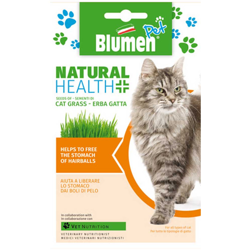 semi di erba gatta per gatto