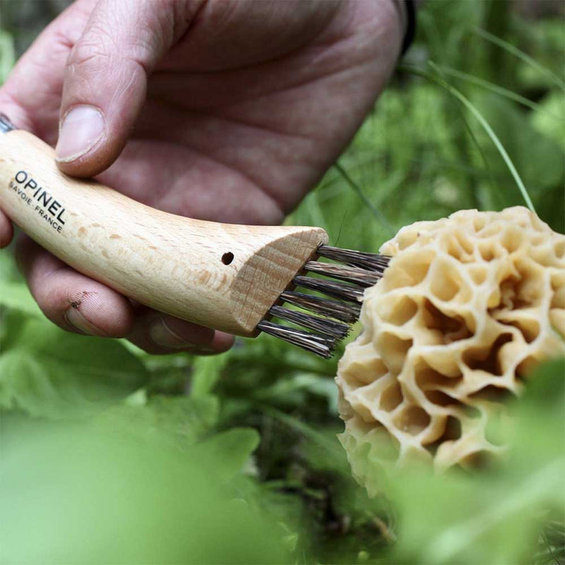 Coltello per funghi in acciaio con spazzolino - lama 8 cm