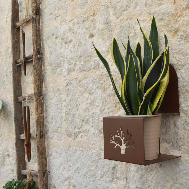 Portavaso da muro per orchidee e piante - Corten