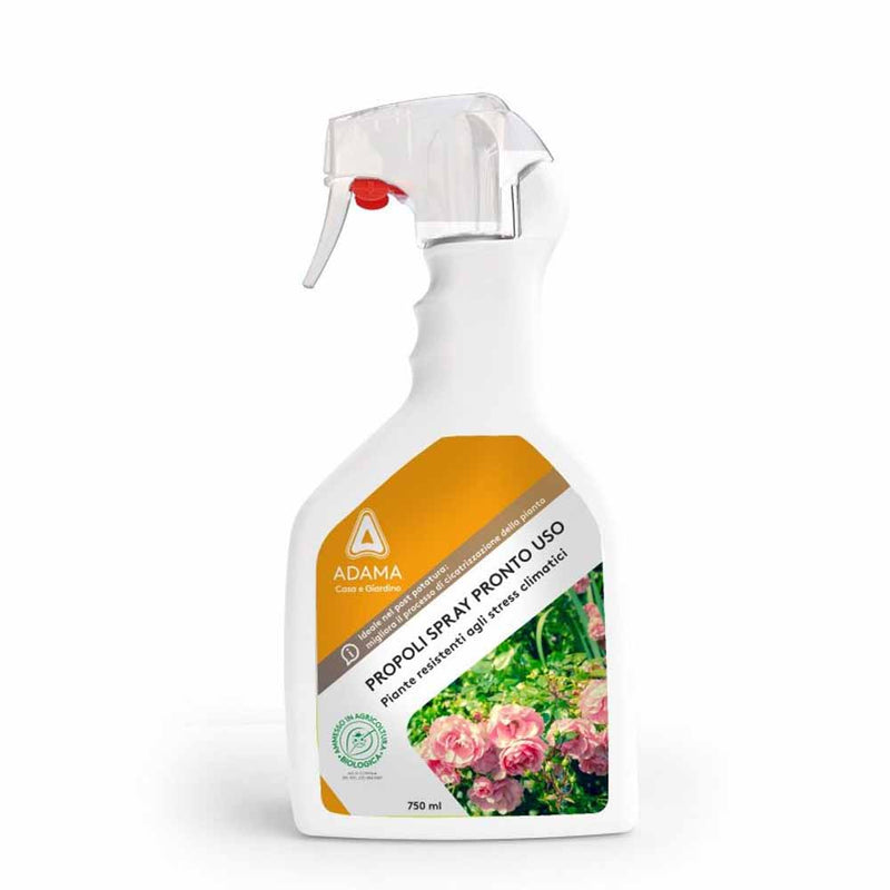 Spray antibiotico e antibatterico per piante - 750 ml