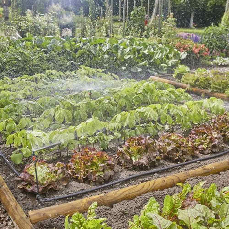 Set irrigazione a goccia per orti e aiuole - fino a 60 mq