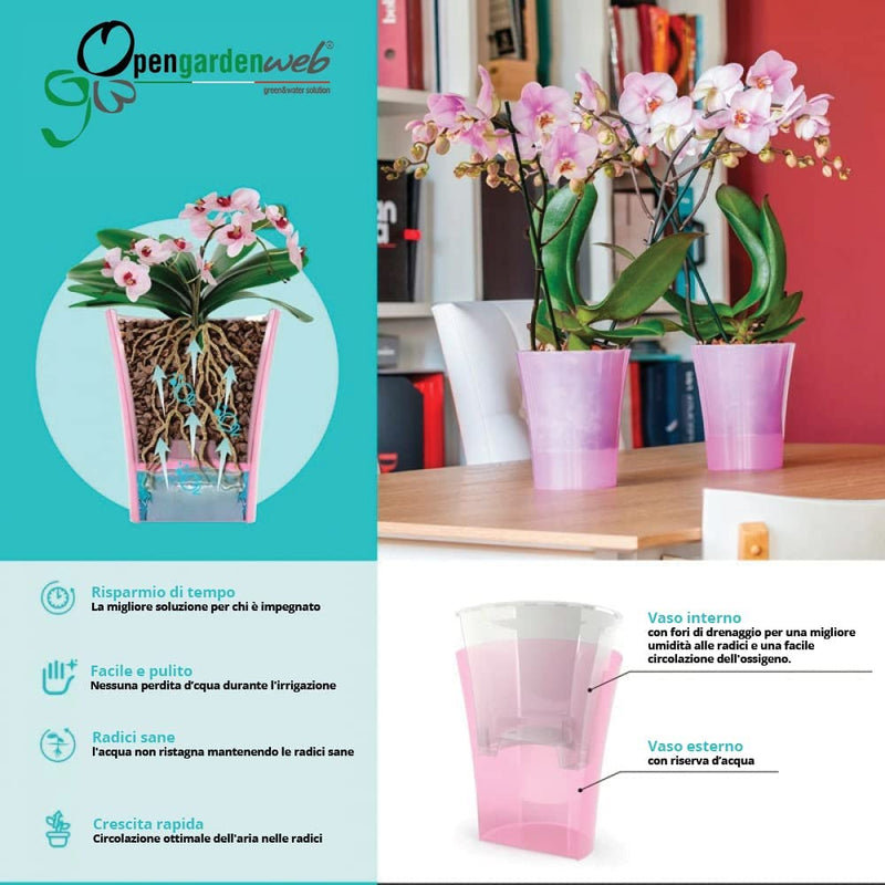 Vaso per orchidea trasparente con auto-irrigazione - 2 litri