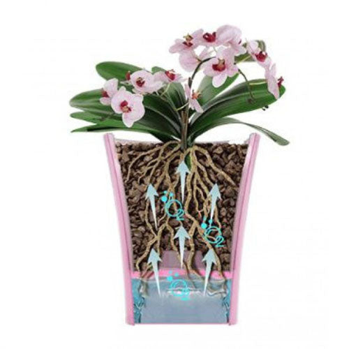 Kit rinvaso orchidee - con 2 vasi, terriccio, concime, guanti e