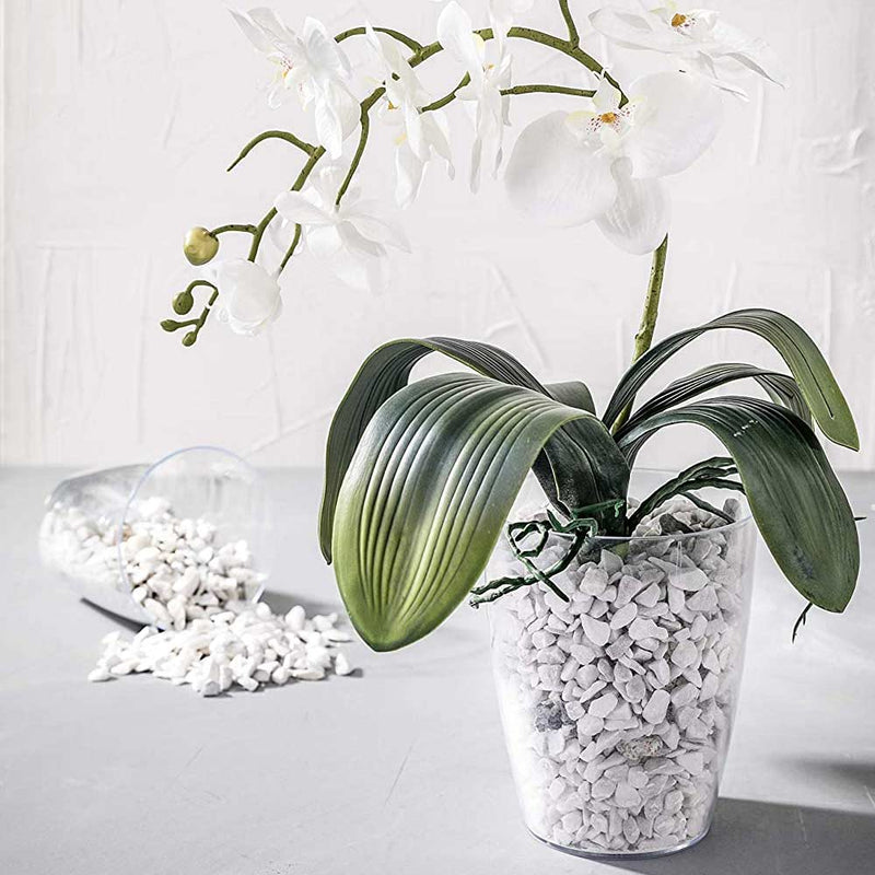 Vaso trasparente per orchidee 1,6 lt - sottovaso incluso