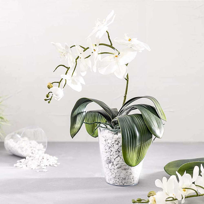 Vaso trasparente per orchidee 1,6 lt - sottovaso incluso